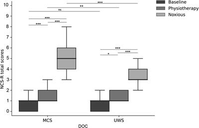 Pain assessment during physiotherapy and noxious stimuli in patients with disorders of consciousness: A preliminary study